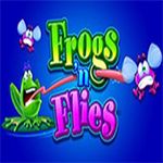 Frogs N Flies Frogs N Flies
